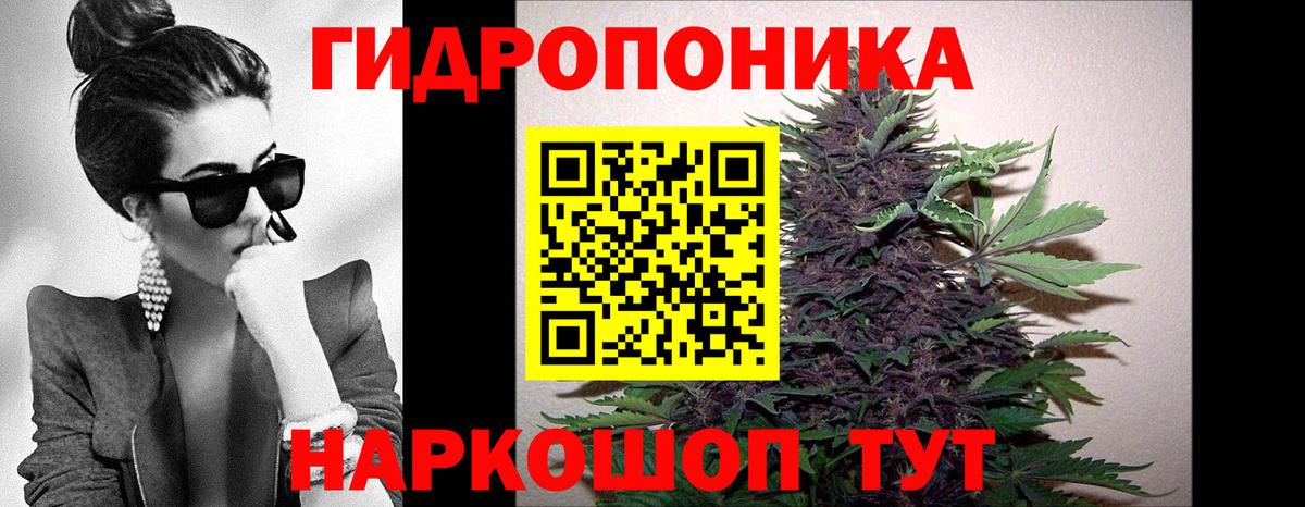 Шишки марихуана гибрид  Каннабис индика  Лесозаводск  Вход с VPN  Бошки марихуана LSD WEED 